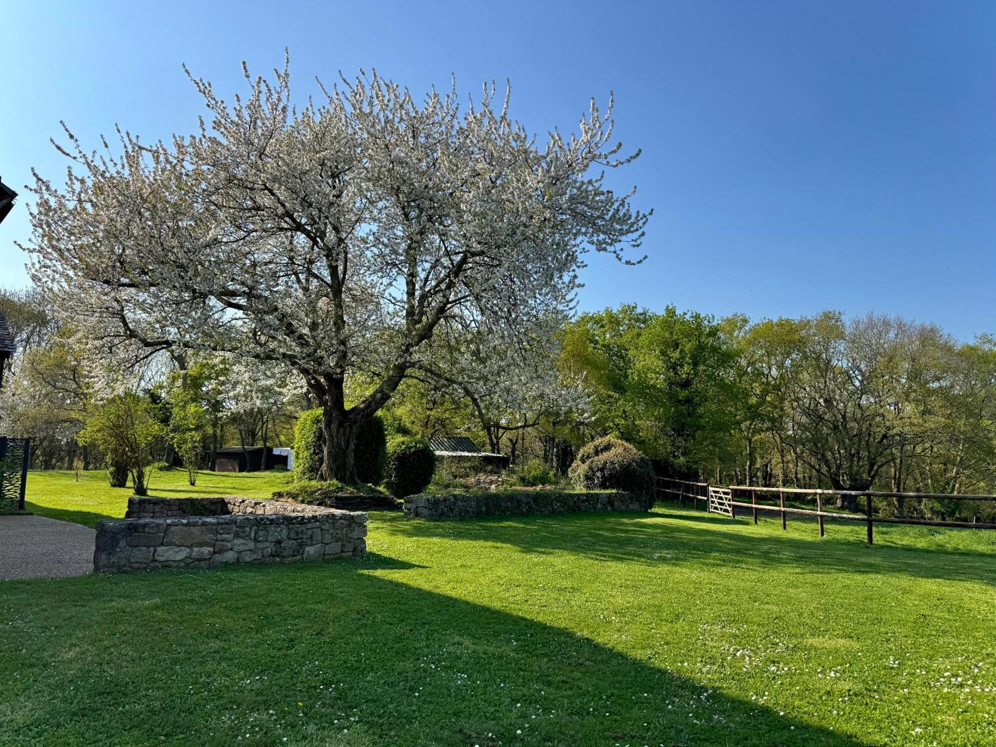 Le Domaine Du Ganquis Hotel Belz Kültér fotó